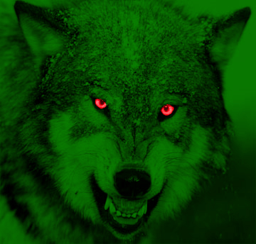 Green_Wolf_by_dancoote.jpg