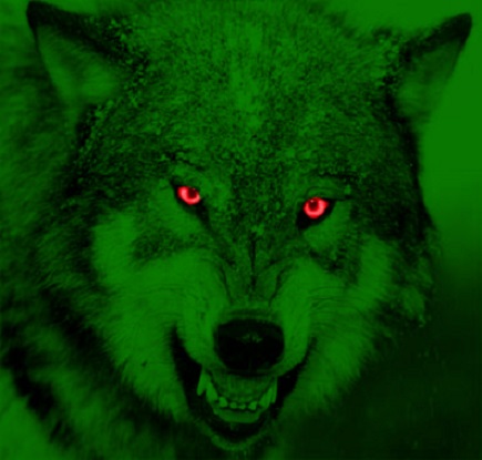 Green_Wolf_by_dancoote.jpg