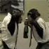 обезьянки.gif