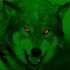 Green_Wolf_by_dancoote.jpg