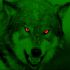 Green_Wolf_by_dancoote.jpg