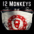 12_monkeys_by_rest_in_torment-d8dsis2.png